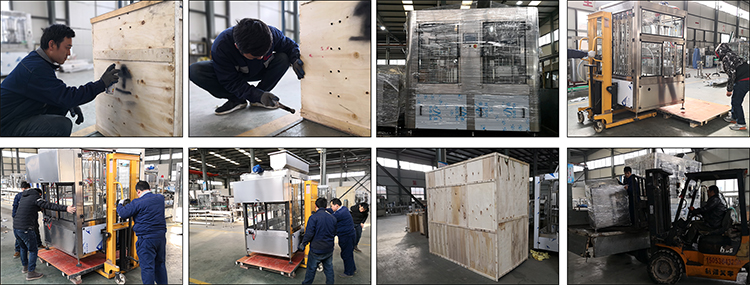 10 nozzle mustard langis packing machine na may mababang gastos